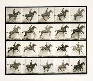 Ember és ló kerítést ugrál, 1887 alkotó: Eadweard Muybridge