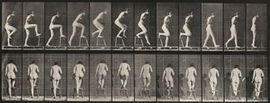 180-as táblaszám. Székre és székre lépés, 1887. alkotó: Eadweard Muybridge