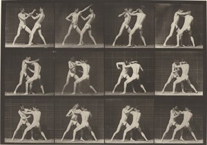 340. számú tábla. Boksz, nyitott kézi cipő, 1887. alkotó: Eadweard Muybridge