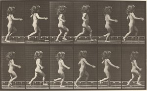 469. számú tábla. Gyermekfutó, 1887. alkotó: Eadweard Muybridge