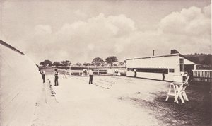 A mozgásban lévő ló azonnali fényképezéssel. Tanulmánnyal az állatokról..., 1881-1882. alkotó: Eadweard Muybridge