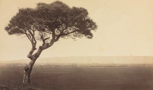 Cím nélkül (Tájkép Watsonville közelében, Kalifornia)