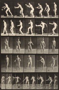 Állati mozgás (300-as tányér) (Ember rúg egy labdát) alkotó: Eadweard Muybridge