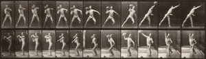 Állatok mozgása (319. tányér) (Ember dob egy labdát) alkotó: Eadweard Muybridge