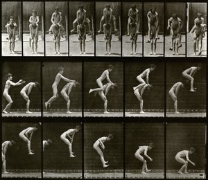 Állati mozgás alkotó: Eadweard Muybridge