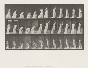 Állatmozgás, 305. tábla alkotó: Eadweard Muybridge