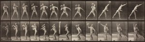 Animal Locomotion, 319. tábla, 1887 alkotó: Eadweard Muybridge