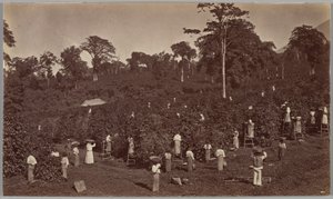  alkotó: Eadweard Muybridge