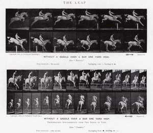 Eadweard Muybridge: Az ugrás (f/w fotó) alkotó: Eadweard Muybridge