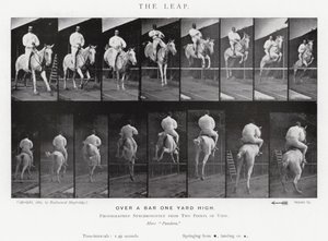 Eadweard Muybridge: Az ugrás (f/w fotó) alkotó: Eadweard Muybridge