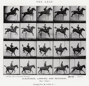 Eadweard Muybridge: Az ugrás (f/w fotó) alkotó: Eadweard Muybridge