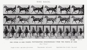 Eadweard Muybridge: The Rack (f/w fotó) alkotó: Eadweard Muybridge