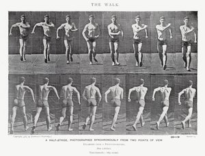 Eadweard Muybridge: The Walk (f/w fotó) alkotó: Eadweard Muybridge