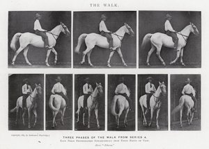 Eadweard Muybridge: The Walk (f/w fotó) alkotó: Eadweard Muybridge