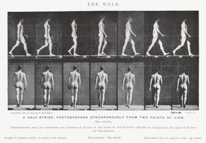 Eadweard Muybridge: The Walk (f/w fotó) alkotó: Eadweard Muybridge