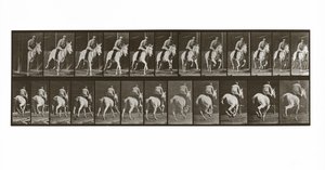 Vágtázó ló lovassal, 635-ös tábla az Animal Locomotion-tól, 1887 alkotó: Eadweard Muybridge
