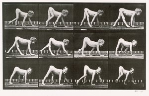 Kúszómászó mozgássérült fiú, 539-es tábla az „Animal Locomotion”-ból, 1887 alkotó: Eadweard Muybridge