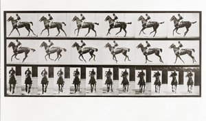 Ló és lovas, 621-es tábla, Animal Locomotion, 1887 alkotó: Eadweard Muybridge