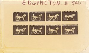 Internegatív lovakra. Ügető. Abe Edgington. 28. sz alkotó: Eadweard Muybridge