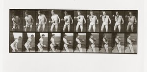 Súlyzót emelő ember, 324-es tábla az Animal Locomotion-tól, 1887 alkotó: Eadweard Muybridge