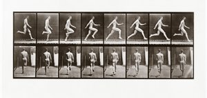 Futó ember, 65-ös tábla az Animal Locomotion-ból, 1887 alkotó: Eadweard Muybridge
