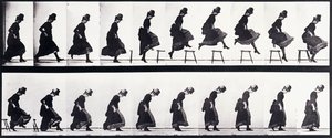 Motion Study, 1872-1885 körül alkotó: Eadweard Muybridge