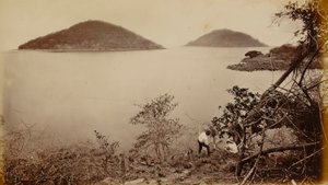 Perico és Flamenco - a panamai Naos-szigetről alkotó: Eadweard Muybridge