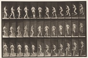 103. tábla. Forduló és felszálló lépcsők, kancsó és serleg a kezében, 1872-1885 alkotó: Eadweard Muybridge