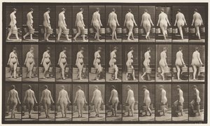 106. tábla. Fordulás a lépcsőn való feljutás felé, vödör víz mindkét kezében, 1872-1885 alkotó: Eadweard Muybridge