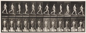 113. tábla. Csökkenő lejtő, 1 a 4-hez, 1872-1885 alkotó: Eadweard Muybridge