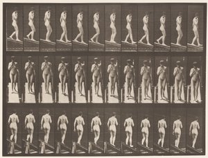 116. tábla. Csökkenő lejtő, egyik kéz állon alkotó: Eadweard Muybridge