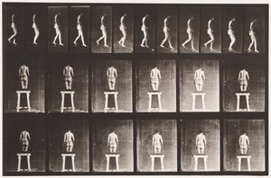 118. tábla. Csökkenő lejtő alkotó: Eadweard Muybridge