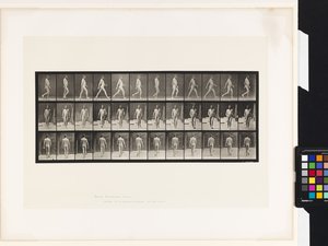 11. tányér.Séta alkotó: Eadweard Muybridge
