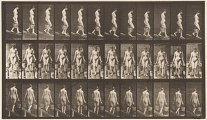 121. tábla. Csökkenő lejtő, mindkét kezében vödör víz alkotó: Eadweard Muybridge