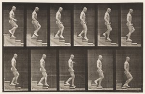 126. tábla. Lemenő lépcsők alkotó: Eadweard Muybridge