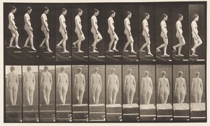 129. tábla. Lemenő lépcsők, összekulcsolt kézzel alkotó: Eadweard Muybridge