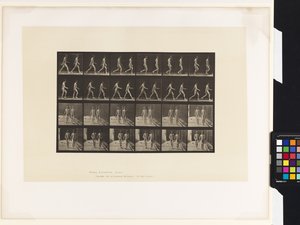 12. tányér.Séta alkotó: Eadweard Muybridge