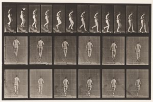130. tábla. Lemenő lépcsők, összekulcsolt kézzel, 1872-1885 alkotó: Eadweard Muybridge
