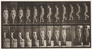 137. tábla. Lemenő lépcsők, megfordulás alkotó: Eadweard Muybridge