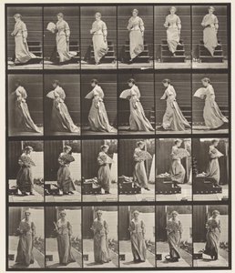 141. tányér. Lejövő lépcsők és flörtölő ventilátor alkotó: Eadweard Muybridge