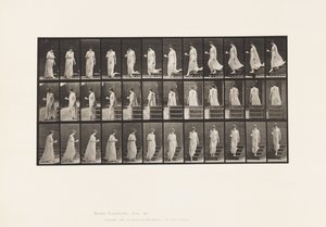 143. tányér. Csökkenő lejtő, forgatható csésze és csészealj jobb kézben alkotó: Eadweard Muybridge