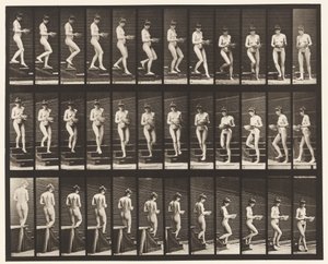 144. tábla. Leszálló lépcsők; Eszterga medence a kezében alkotó: Eadweard Muybridge