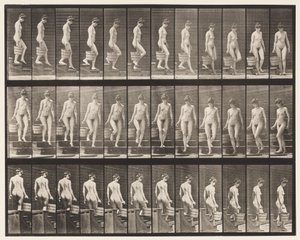 145. tábla. Leszálló lépcsők; Vödör víz forgatása jobb kézben, 1872-1885 alkotó: Eadweard Muybridge