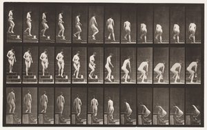 149. tábla. Leszálló lépcsők; Lehajolva, hogy felemeljen egy kancsót, 1872-1885 alkotó: Eadweard Muybridge