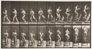 151. tábla. Lejövő létra, megfordulás, szikla a kezekben, 1872-1885 alkotó: Eadweard Muybridge