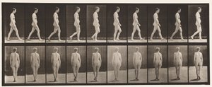 Tányér 15. Séta alkotó: Eadweard Muybridge