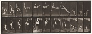 Tányér 164. Ugrás; Rúdugrás, 1872-1885 alkotó: Eadweard Muybridge