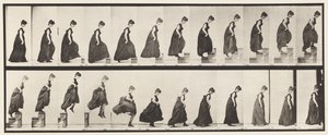 173. tábla. Emelkedő lépcsők és leugrás, 1885 alkotó: Eadweard Muybridge