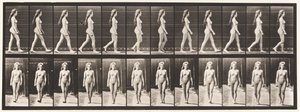 17. tábla Séta, 1872-1885 alkotó: Eadweard Muybridge