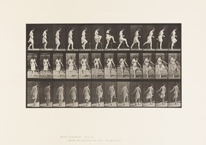 181. tábla. Kerítésen átlépés alkotó: Eadweard Muybridge